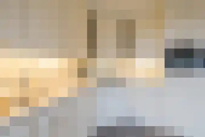 Goudenregenzoom 184 Zoetermeer thumbnail 13