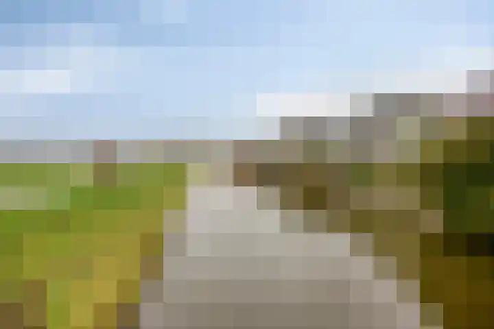 Goudenregenzoom 184 Zoetermeer thumbnail 15