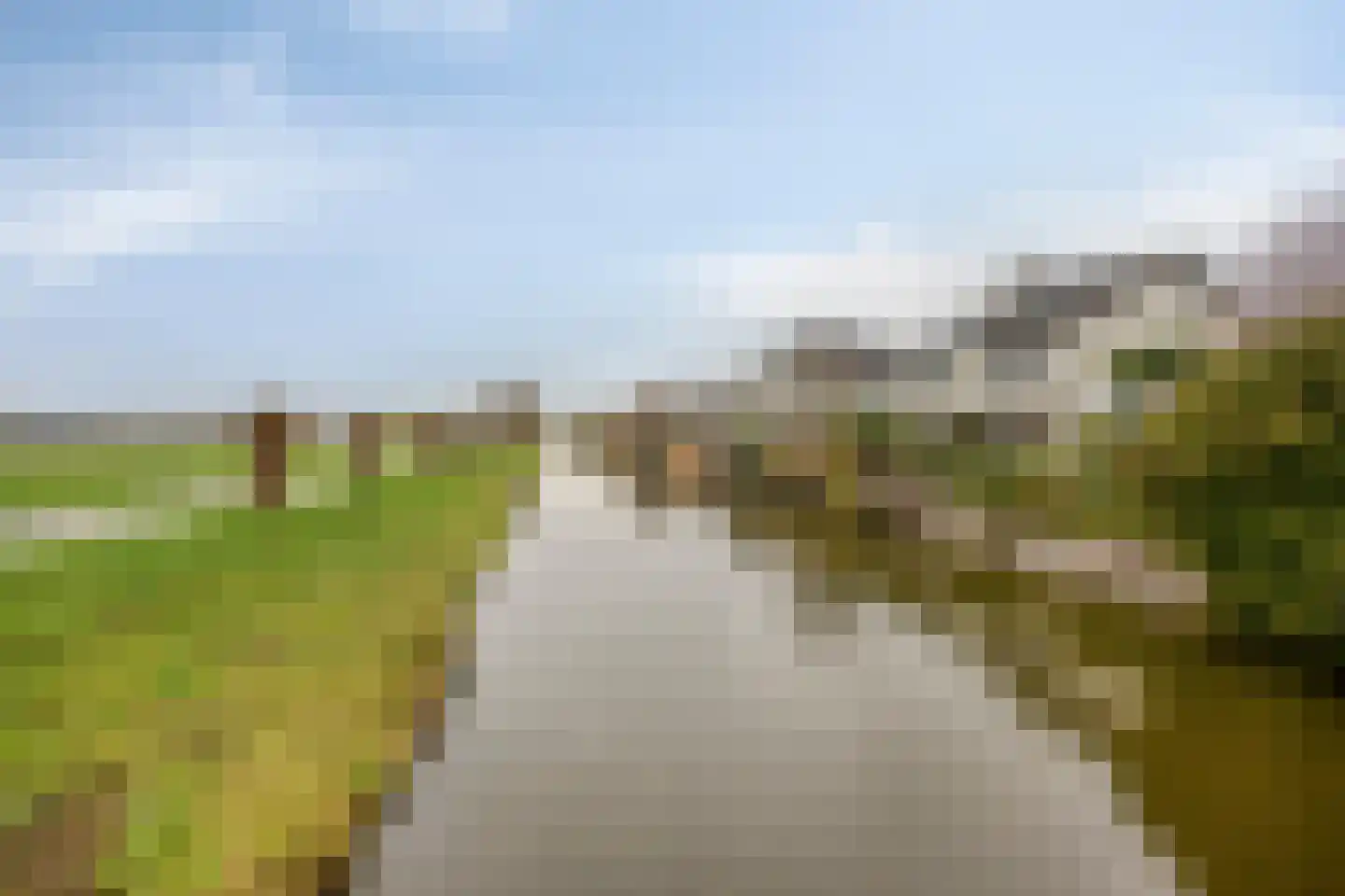 Goudenregenzoom 184 Zoetermeer thumbnail 15