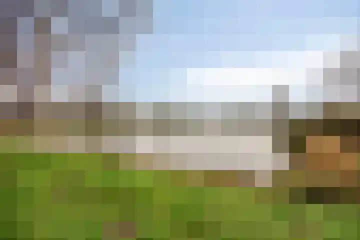 Goudenregenzoom 184 Zoetermeer thumbnail 16