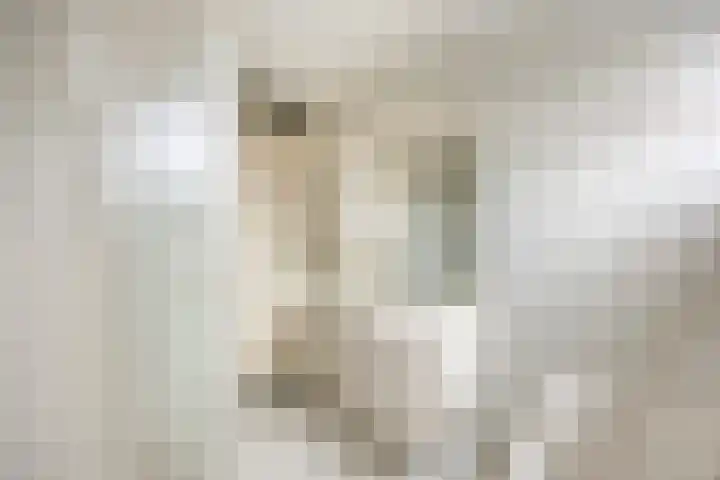 Goudenregenzoom 184 Zoetermeer thumbnail 21