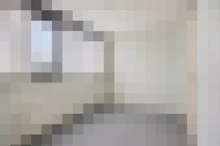 Goudenregenzoom 184 Zoetermeer thumbnail 26