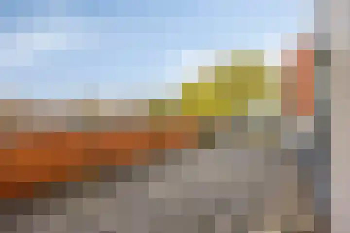 Goudenregenzoom 184 Zoetermeer thumbnail 29