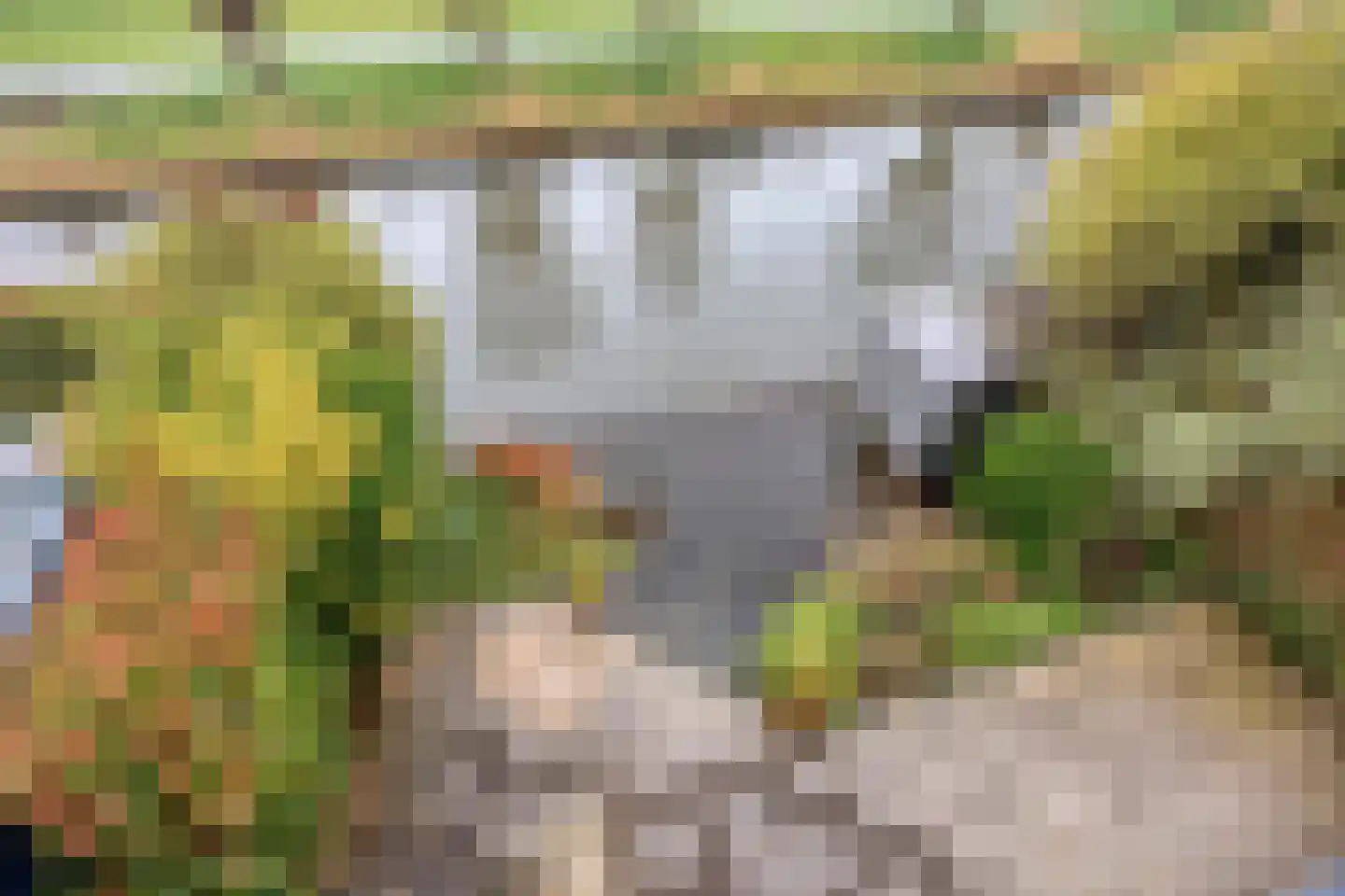 Goudenregenzoom 184 Zoetermeer thumbnail 30