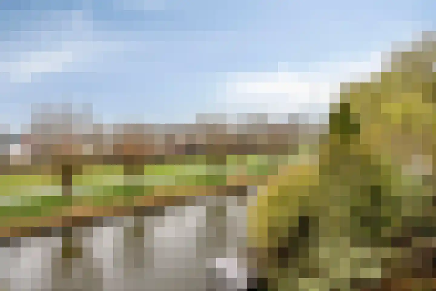 Goudenregenzoom 184 Zoetermeer thumbnail 31