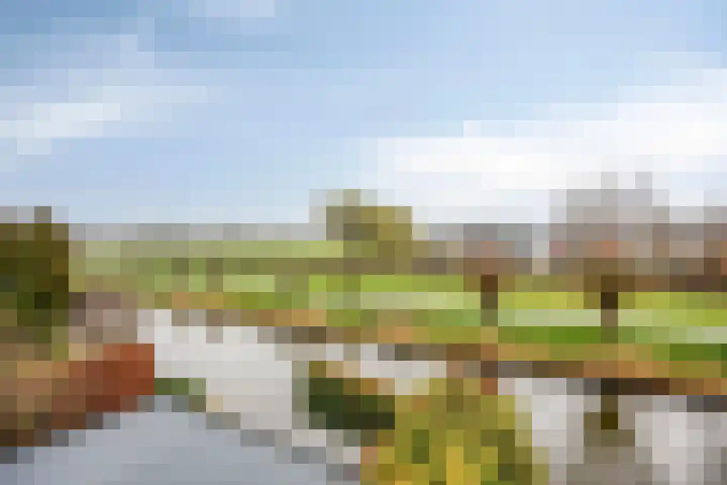 Goudenregenzoom 184 Zoetermeer thumbnail 32