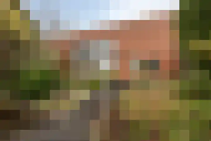 Goudenregenzoom 184 Zoetermeer thumbnail 35