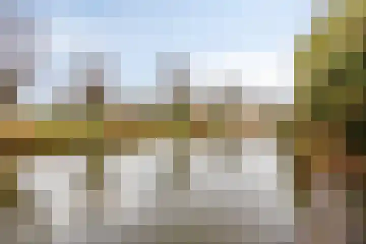 Goudenregenzoom 184 Zoetermeer thumbnail 36