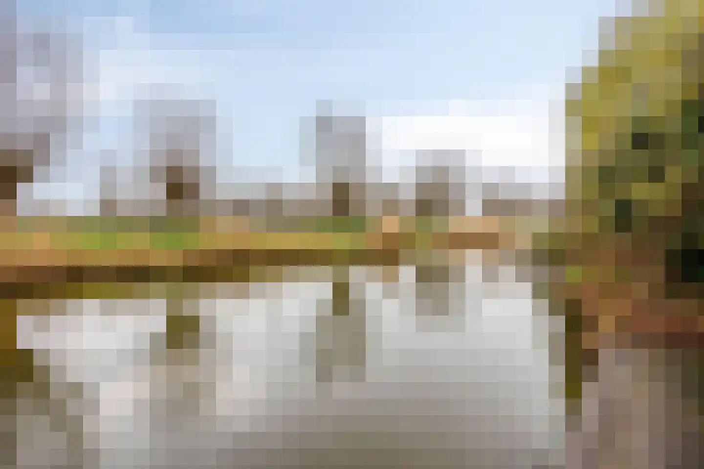 Goudenregenzoom 184 Zoetermeer thumbnail 36