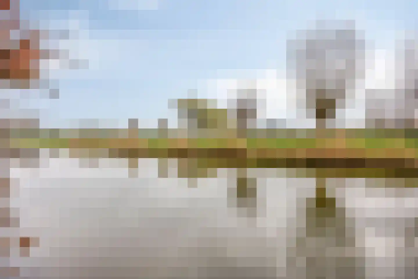 Goudenregenzoom 184 Zoetermeer thumbnail 37