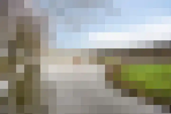 Goudenregenzoom 184 Zoetermeer thumbnail 39
