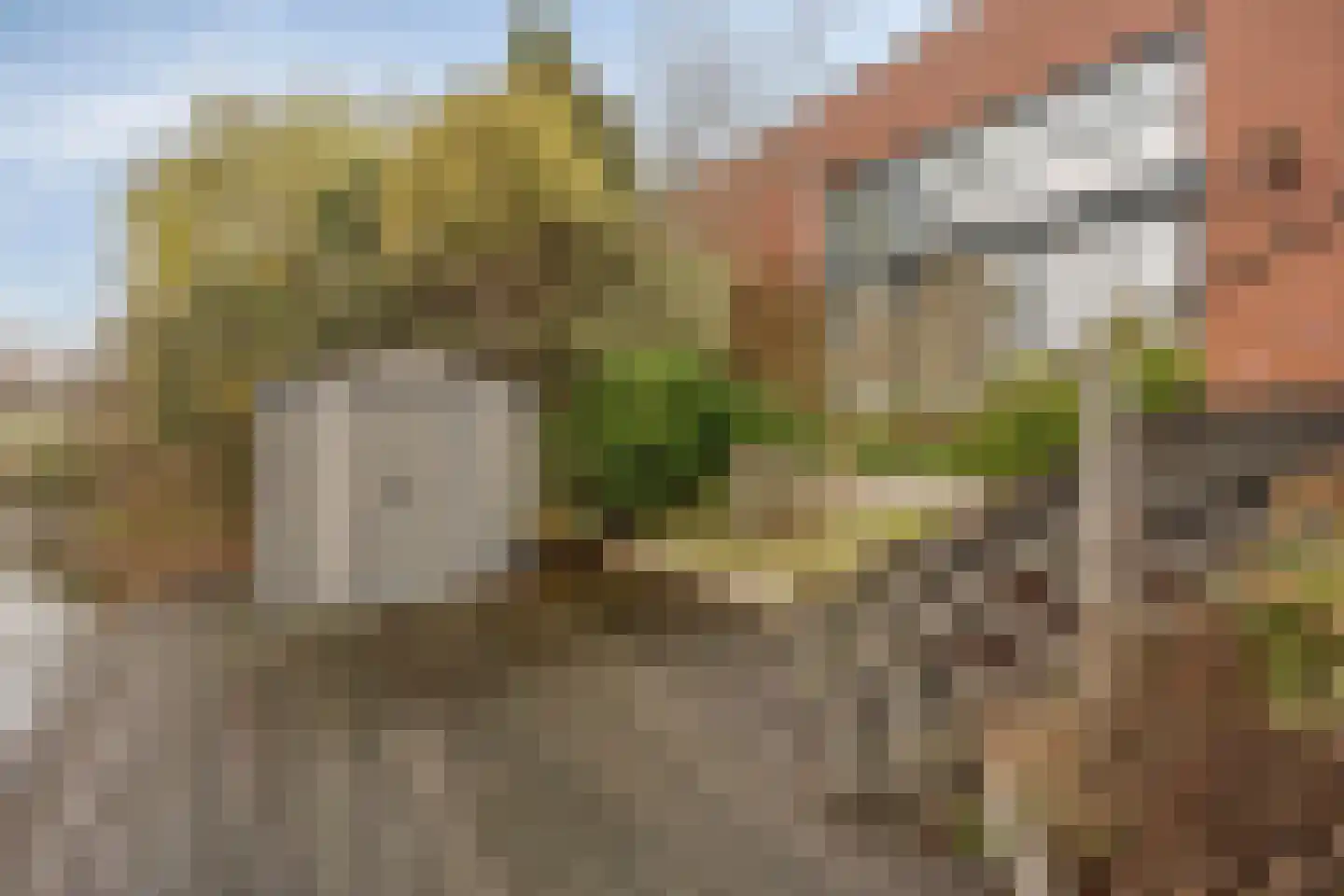 Goudenregenzoom 184 Zoetermeer thumbnail 4