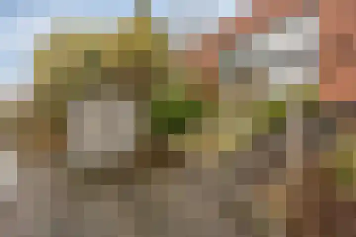 Goudenregenzoom 184 Zoetermeer thumbnail 4