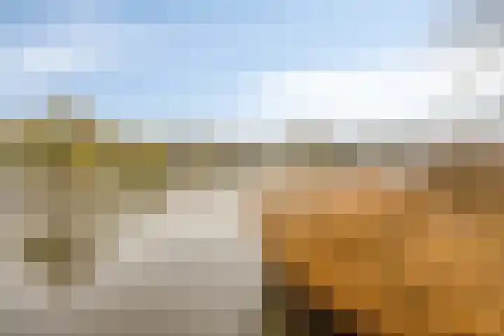 Goudenregenzoom 184 Zoetermeer thumbnail 40