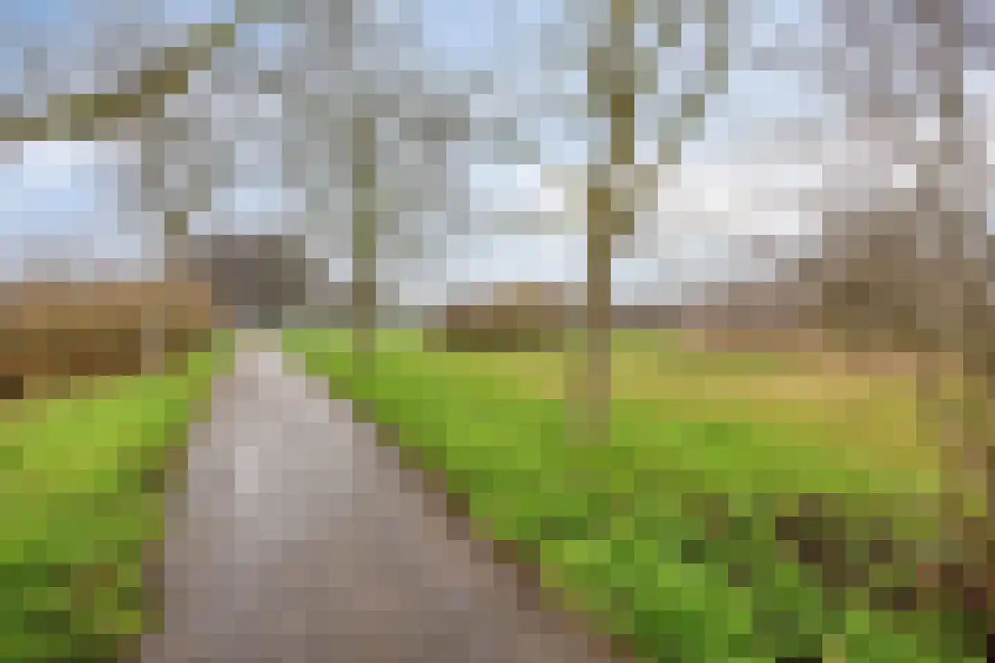 Goudenregenzoom 184 Zoetermeer thumbnail 41