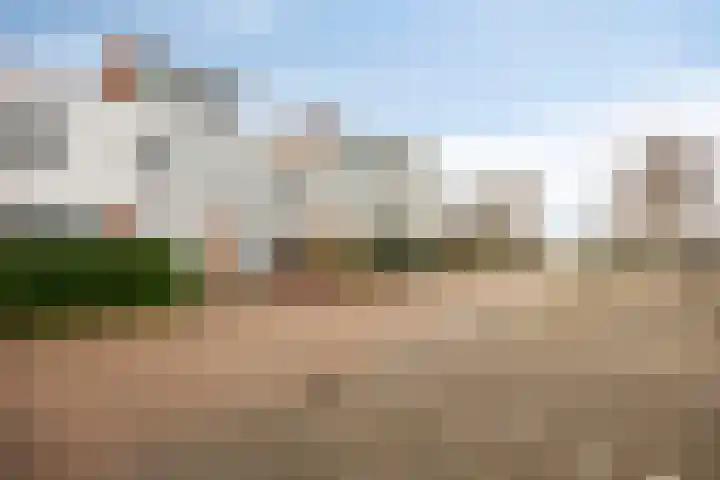 Goudenregenzoom 184 Zoetermeer thumbnail 46