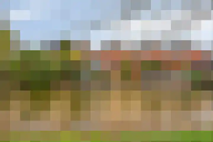 Goudenregenzoom 184 Zoetermeer thumbnail 47