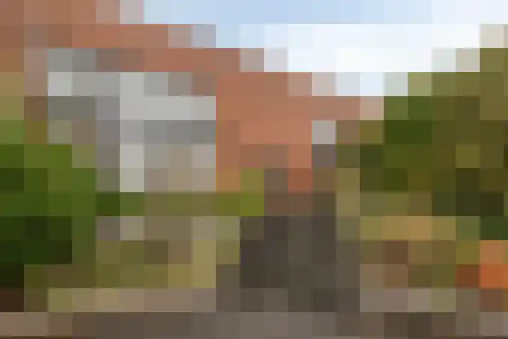 Goudenregenzoom 184 Zoetermeer thumbnail 5
