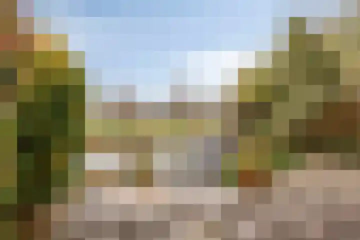 Goudenregenzoom 184 Zoetermeer thumbnail 6