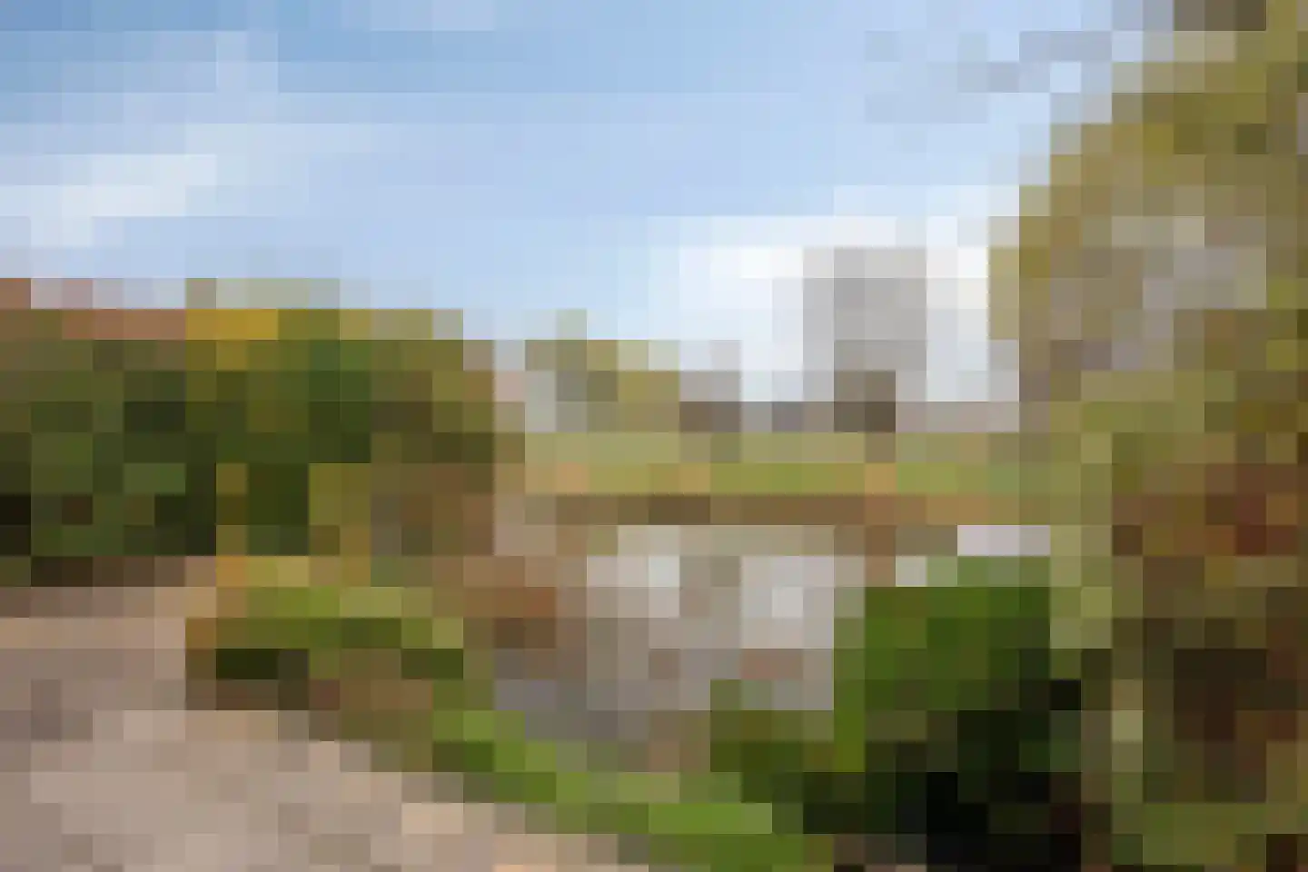 Goudenregenzoom 184 Zoetermeer thumbnail 7