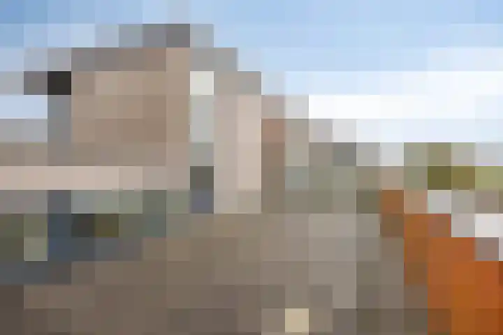 Goudenregenzoom 184 Zoetermeer thumbnail 9