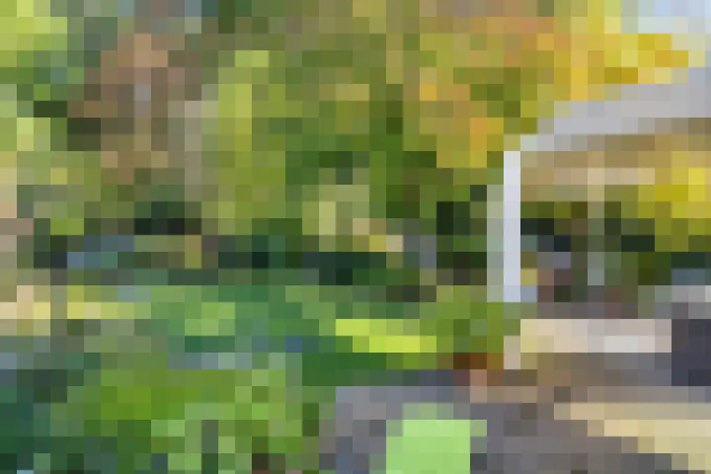 Goudenrood 18 Valkenburg thumbnail 29