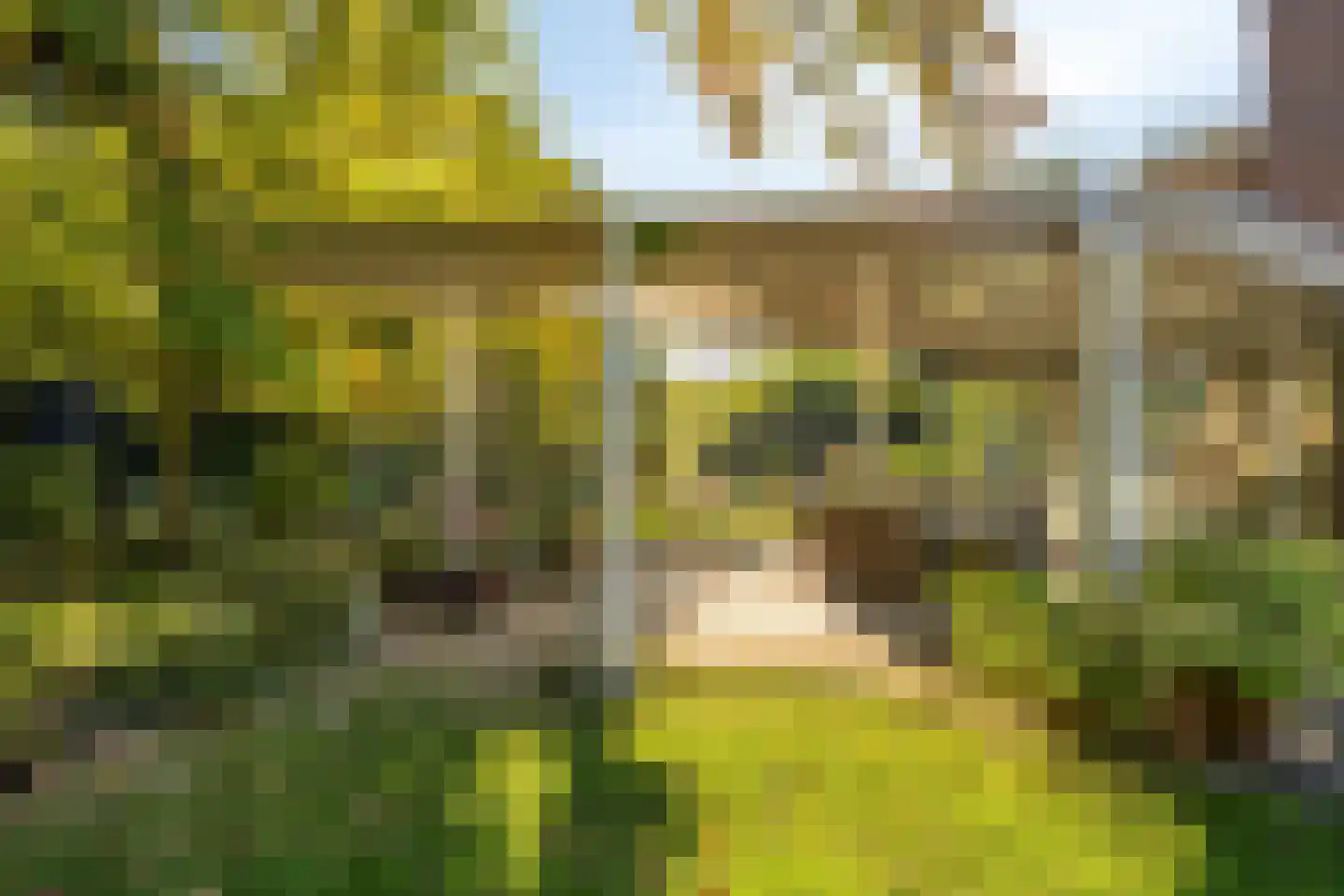 Goudenrood 18 Valkenburg thumbnail 30