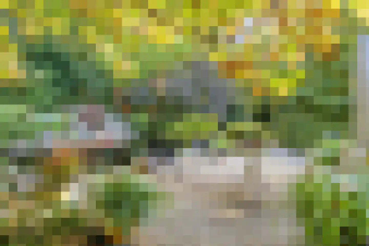 Goudenrood 18 Valkenburg thumbnail 31