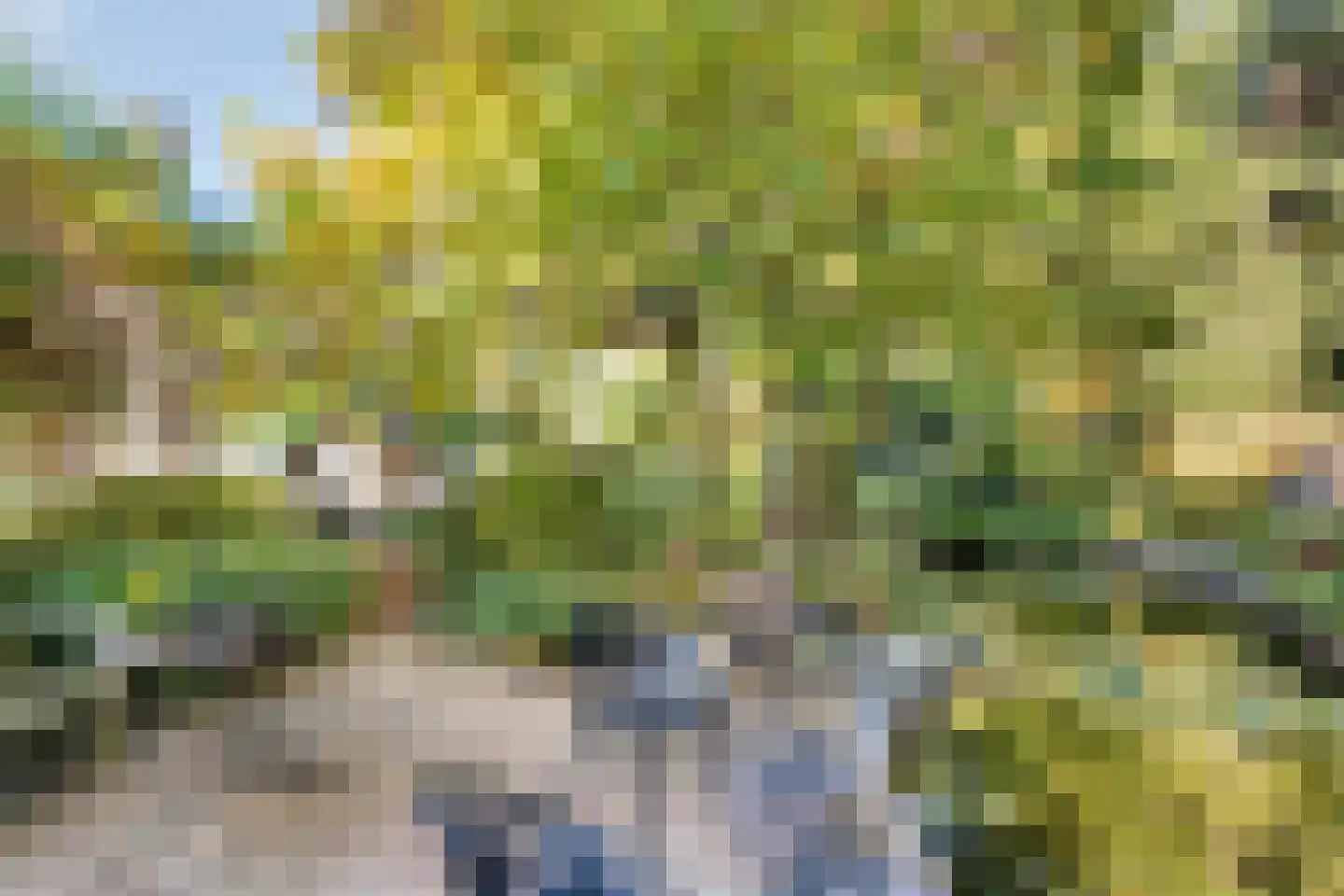 Goudenrood 18 Valkenburg thumbnail 32