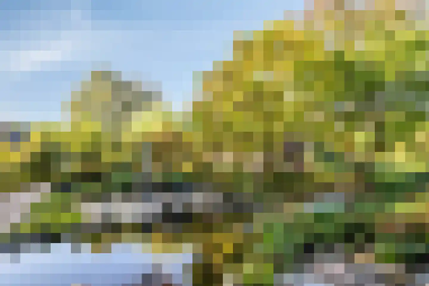 Goudenrood 18 Valkenburg thumbnail 33