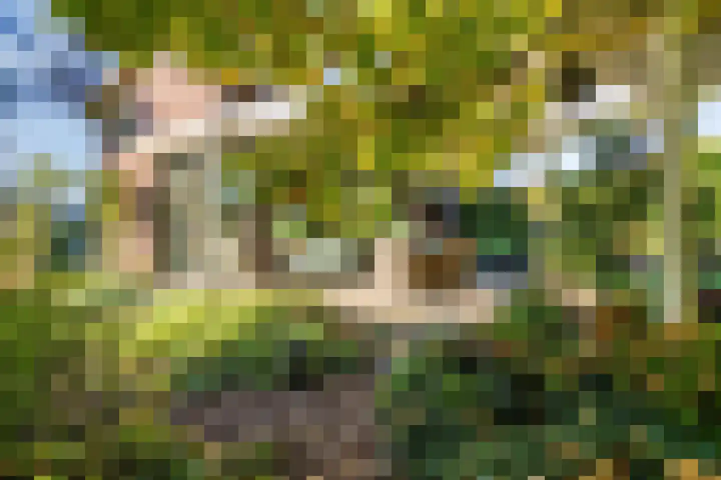 Goudenrood 18 Valkenburg thumbnail 35