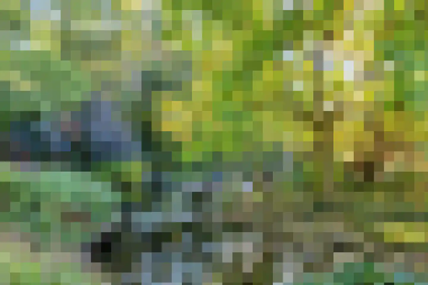 Goudenrood 18 Valkenburg thumbnail 36