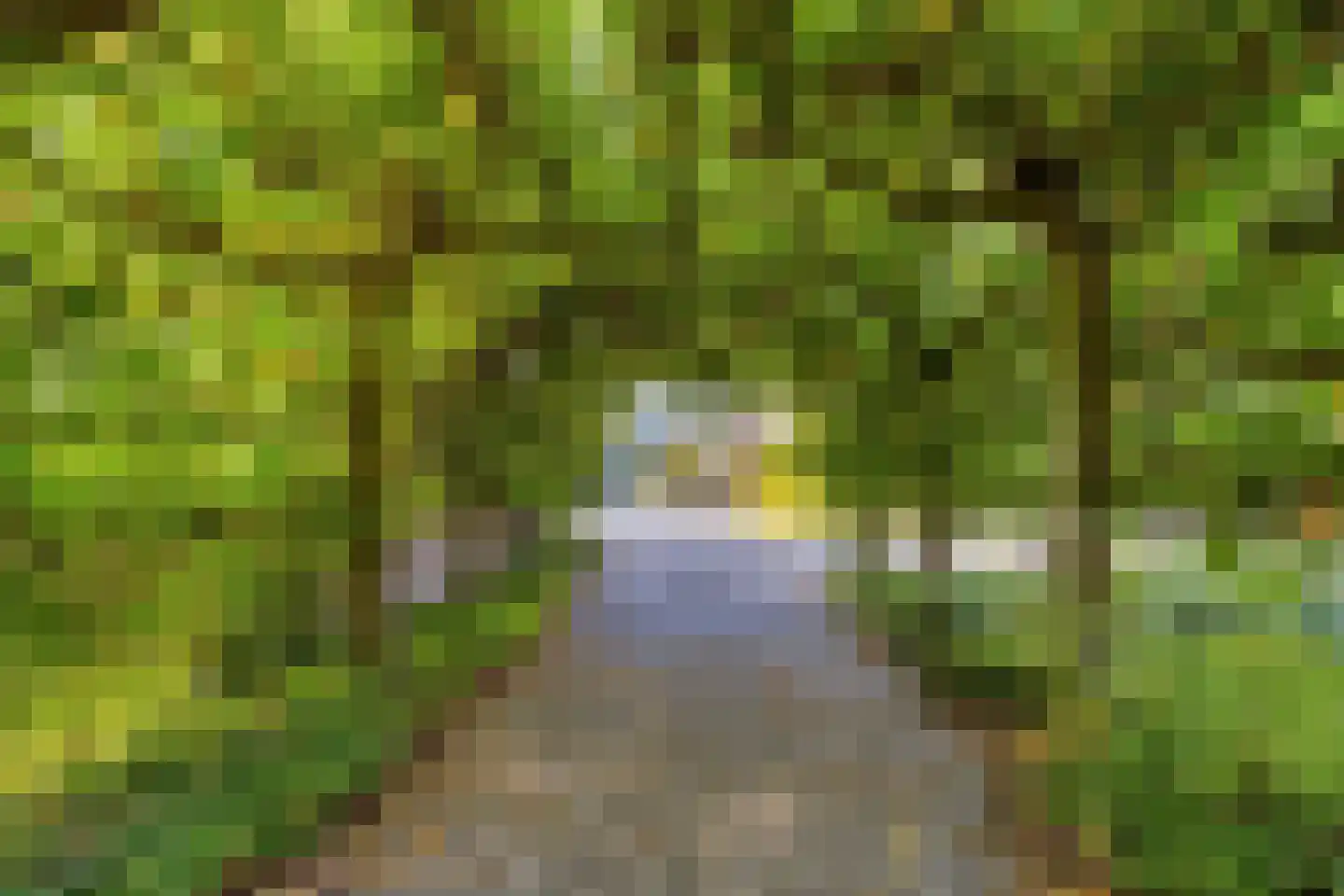 Goudenrood 18 Valkenburg thumbnail 38