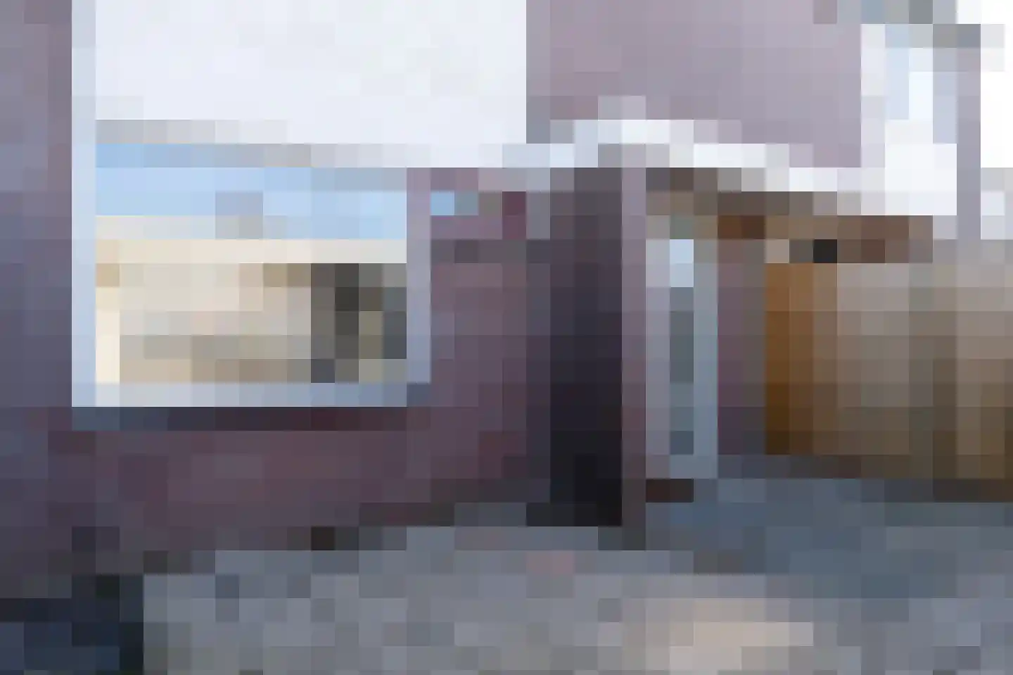 Goudenstein 25 Barneveld thumbnail 6