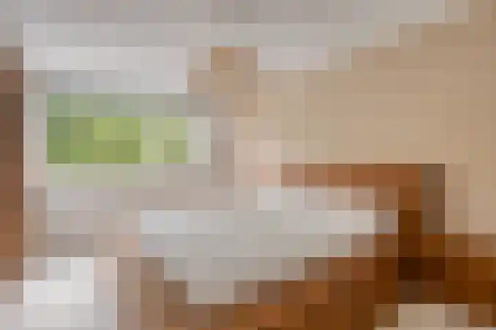 Goudenstein 63 Barneveld thumbnail 13