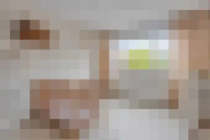 Goudenstein 63 Barneveld thumbnail 16
