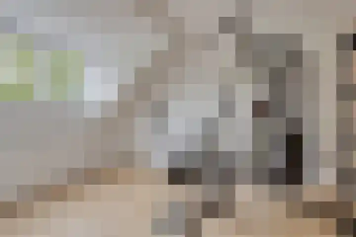 Goudenstein 63 Barneveld thumbnail 21