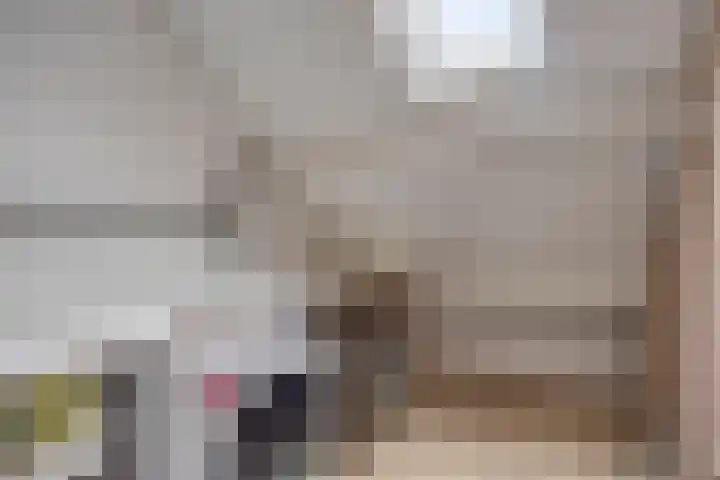 Goudenstein 63 Barneveld thumbnail 23