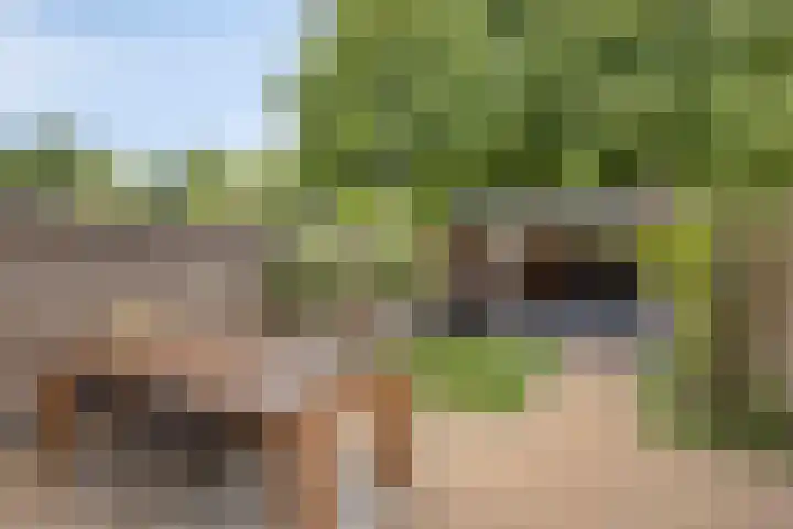 Goudenstein 63 Barneveld thumbnail 24