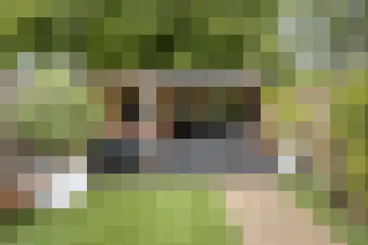 Goudenstein 63 Barneveld thumbnail 25