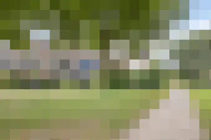 Goudenstein 63 Barneveld thumbnail 28