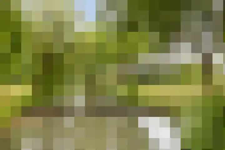 Goudenstein 63 Barneveld thumbnail 30