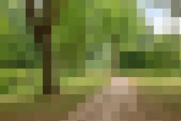 Goudenstein 63 Barneveld thumbnail 31