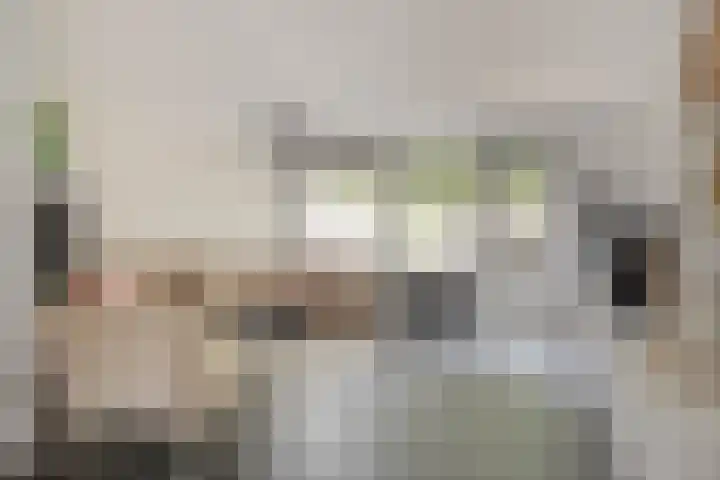 Goudenstein 63 Barneveld thumbnail 6
