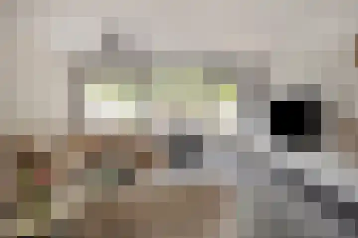 Goudenstein 63 Barneveld thumbnail 7
