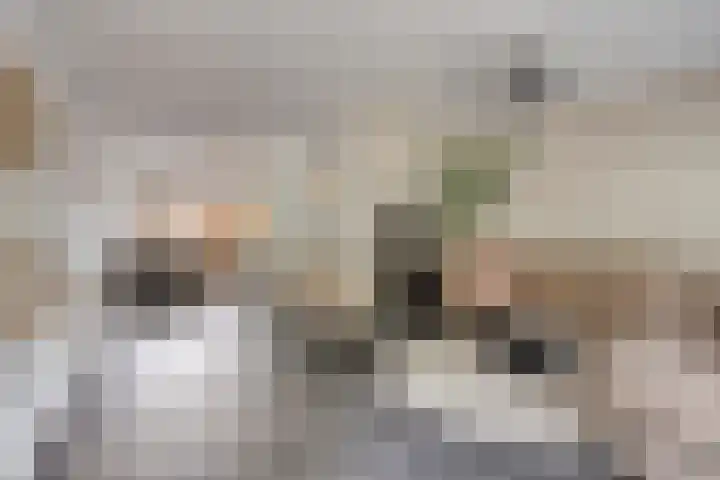Goudenstein 63 Barneveld thumbnail 9