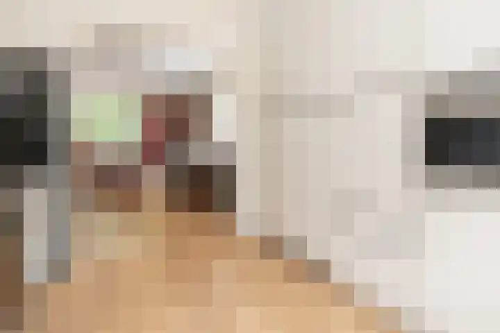 Goudenstein 71 Barneveld thumbnail 11