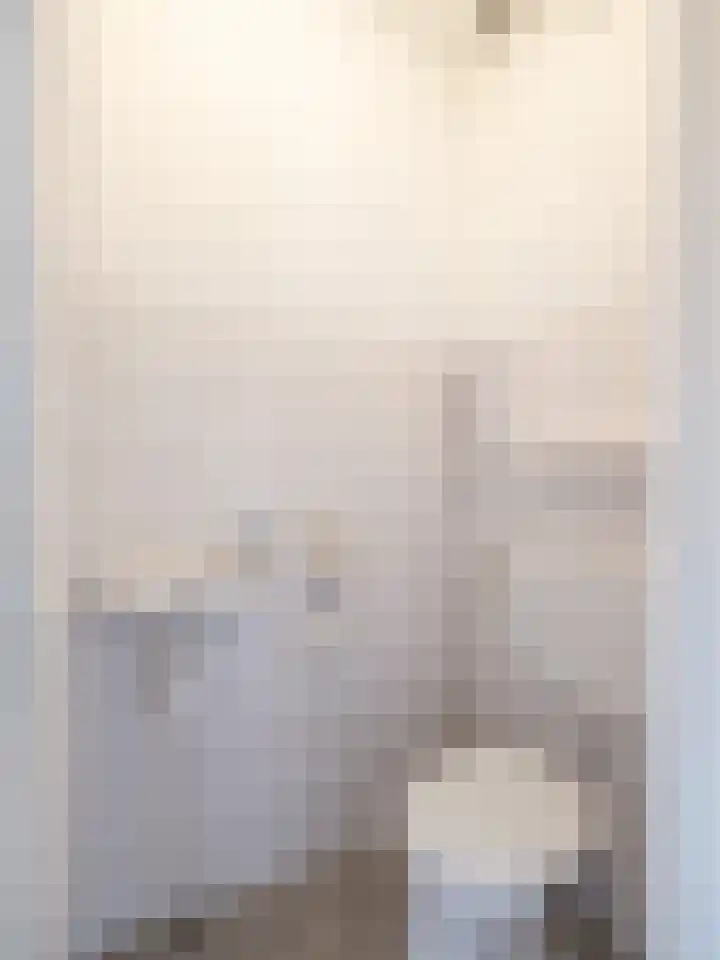 Goudenstein 71 Barneveld thumbnail 14