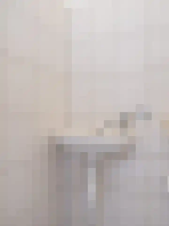 Goudenstein 71 Barneveld thumbnail 15