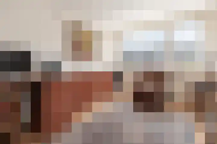 Goudenstein 71 Barneveld thumbnail 21
